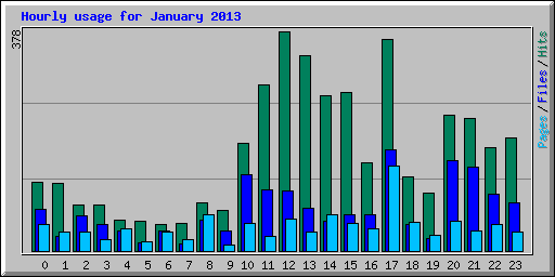 Hourly usage for January 2013