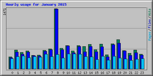 Hourly usage for January 2015