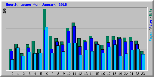 Hourly usage for January 2016