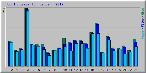 Hourly usage for January 2017