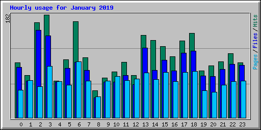 Hourly usage for January 2019